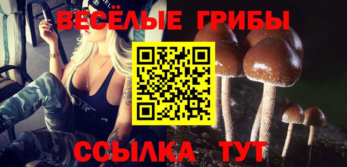 Псилоцибиновые грибы мухоморы Котлас