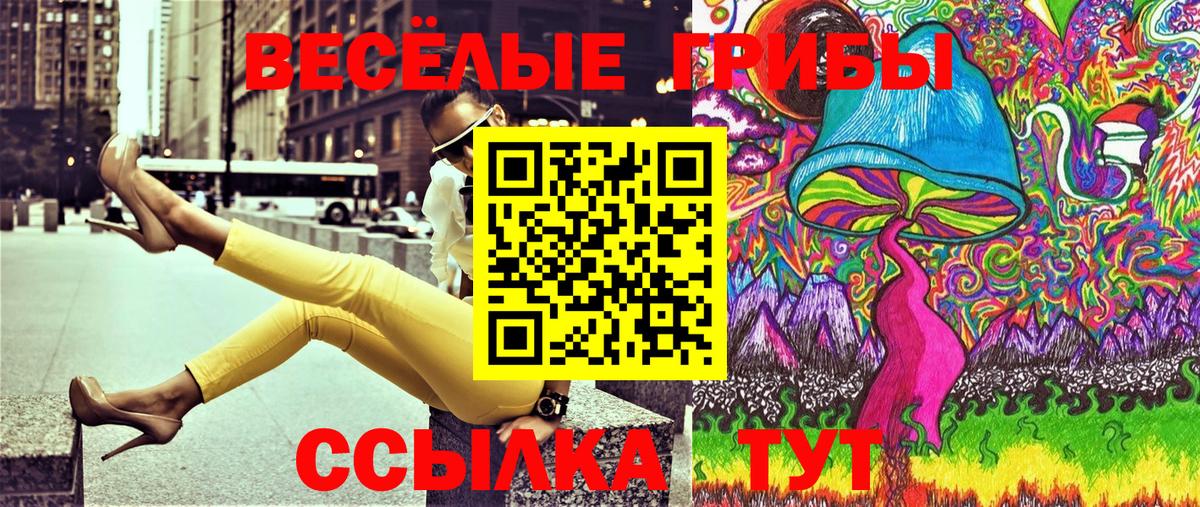 Котлас  Псилоцибиновые грибы Psilocybe  Вход с VPN 
